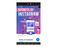 Bonus Secrets of Instagram Advertising