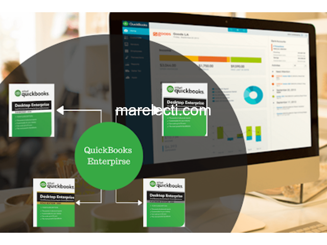 QuickBooks Enterprise Software - Non Profit Edition - 1/1