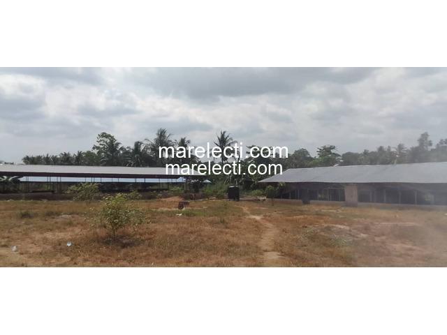 Pig and Poultry Farm Land For Sale - 3/5