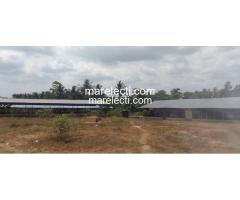 Pig and Poultry Farm Land For Sale - 3