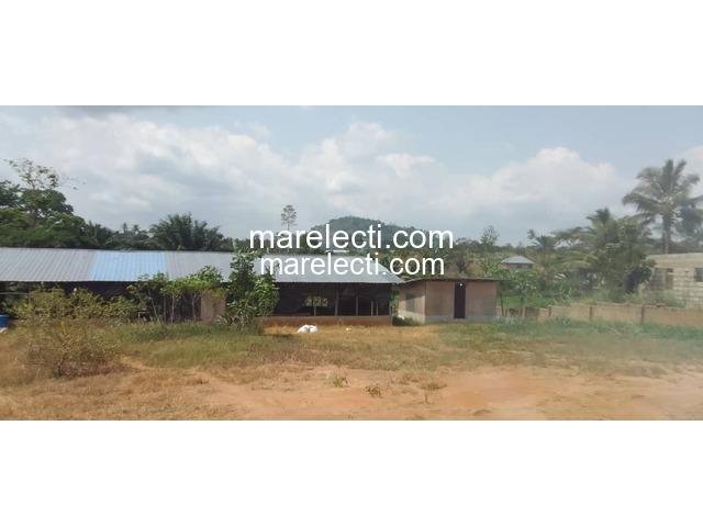 Pig and Poultry Farm Land For Sale - 4/5