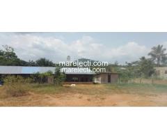 Pig and Poultry Farm Land For Sale - 4