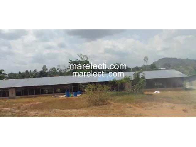 Pig and Poultry Farm Land For Sale - 5/5