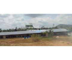Pig and Poultry Farm Land For Sale - 5