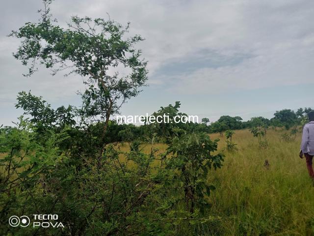 Farmland For Sale in Ho - 200x200ft - 2/3